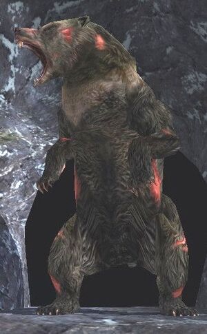 Coldbear.jpg