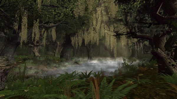 Eaves of Fangorn - Lotro-Wiki.com