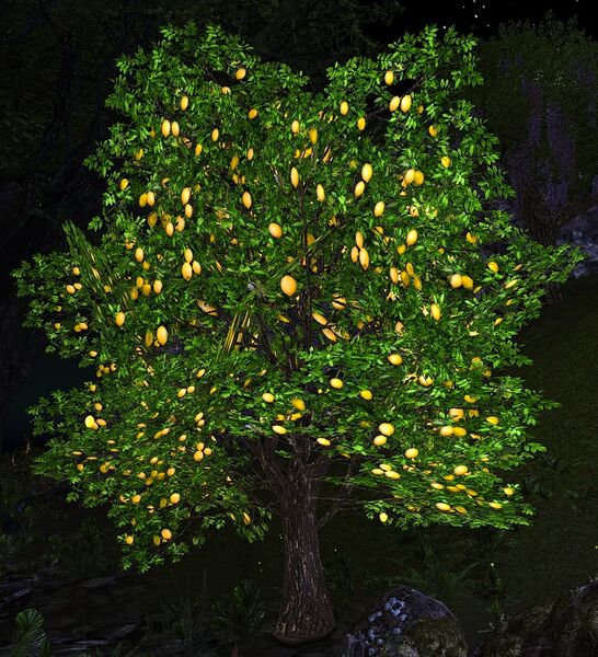 File:Juicy Lemon.jpg