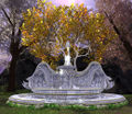 Huge Swan Fountain