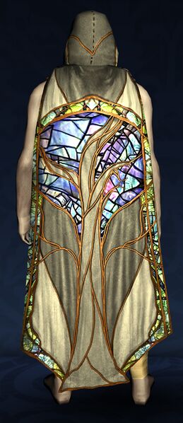 File:Hooded Cloak of Anduin's Wisdom.jpg