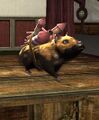 Merrymaking Hamster