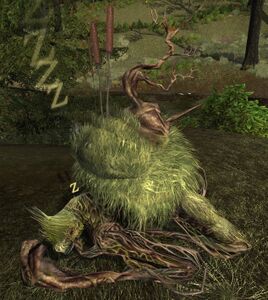 Image of Bog Guardian