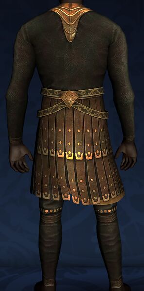 File:Golden Lion Armour (back).jpg
