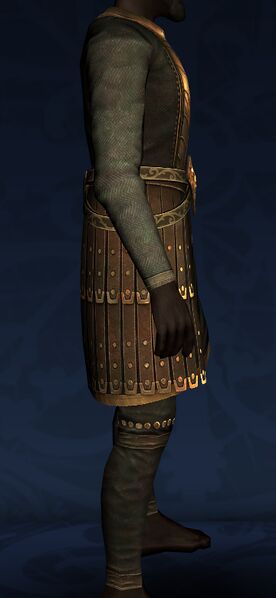 File:Golden Lion Armour (side).jpg