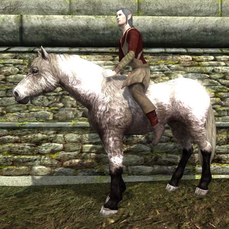 Shaggy Roan Coat: Default