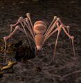 Thumbnail for version as of 05:31, 3 July 2025