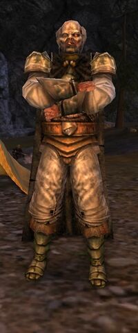 Half-orc Warrior (Westfold) - Lotro-Wiki.com