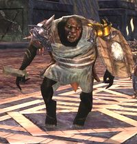 Staunch Mazog's Lieutenant - Lotro-Wiki.com