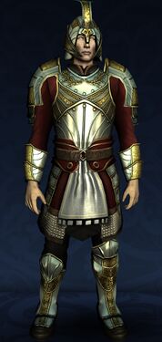Ornamented Anniversary Garments