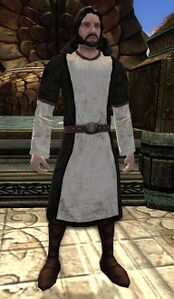 Dol Amroth Quartermaster (Light Armour) - Lotro-Wiki.com