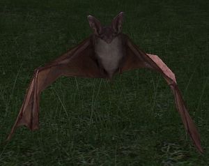 Great Brown Bat.jpg