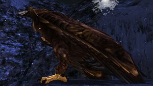 Image of Great Eagle