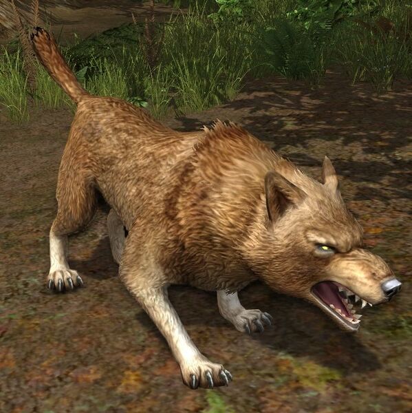 File:Monstrous Dusk-wolf.jpg