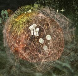 Image of Pale Spider Egg