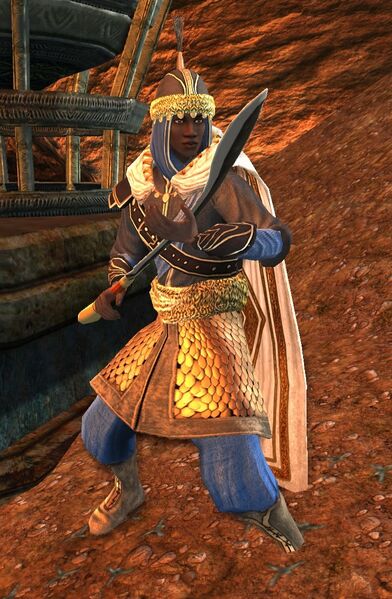 File:Esh Mêkag Overseer.jpg