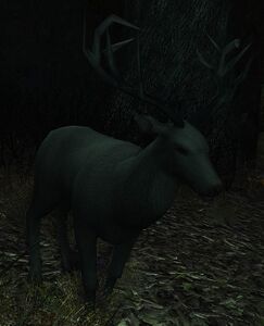 Image of Crowned Hart