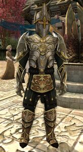 Image of Dol Amroth Quartermaster (Champion Armour)