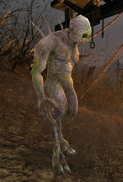 File:Enslaved Sightless.jpg