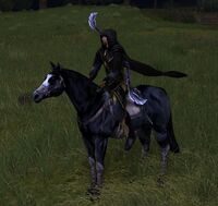 Image of Prized Smoky Black Horse
