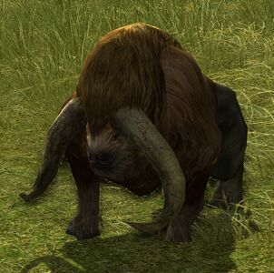 Tawny Aurochs