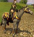 Autumnfest Steed