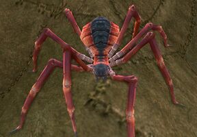 Bulbous Red Camel Spider Appearance Monster Player Reward Track - Cosmetic Choice Box (Season 1)