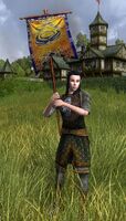 Elvish Shield-maiden Herald of Victory