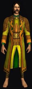Long Dwarf-make Robe - Yellow dye