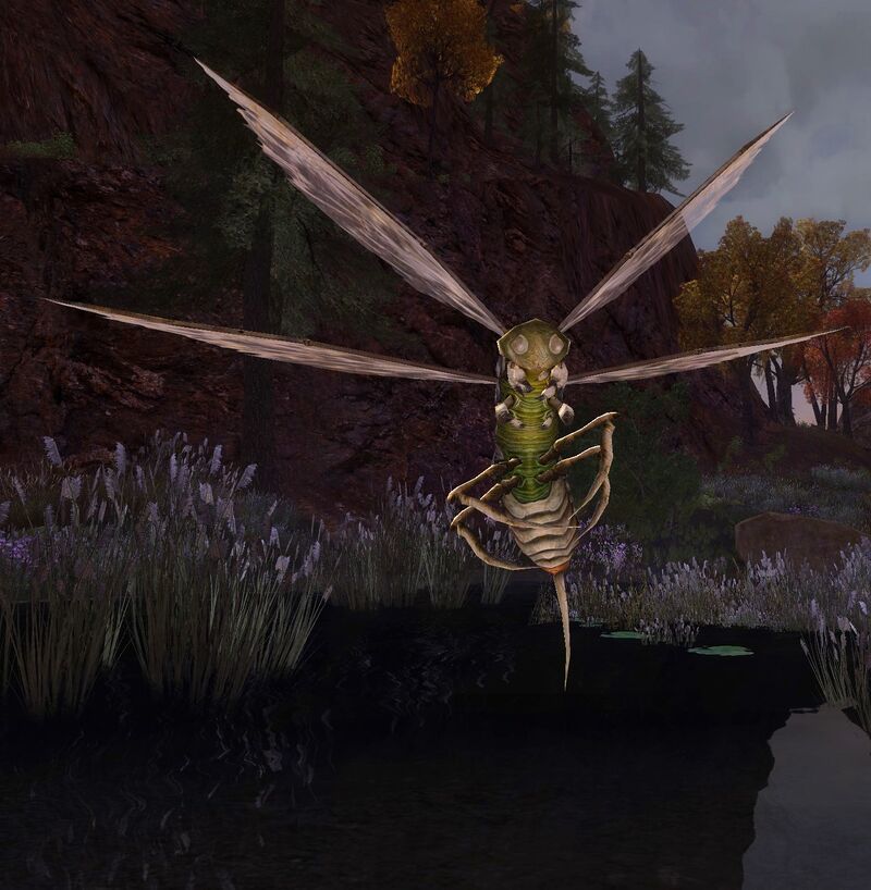 Mature Carrion Fly Lotro Wiki