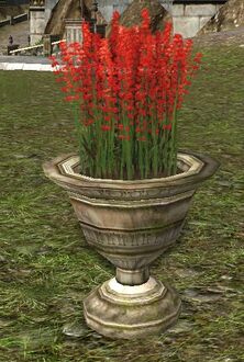 Potted Red Hawfingers