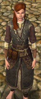 Surcoat of the Yield