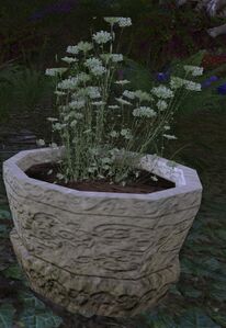 Calming Flower Pot