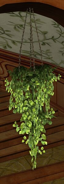 File:Hanging Pot of Verdant Ivy.jpg