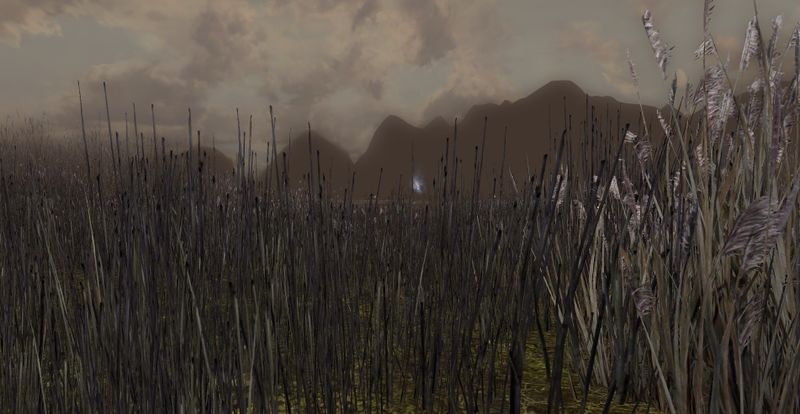 File:The Dead Marshes.jpg