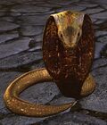 Vigilant Cobra