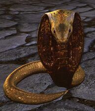 Vigilant Cobra