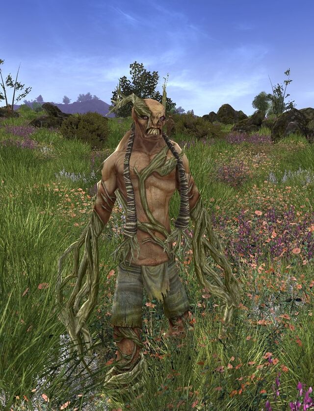 Wandering Holly-troll - Lotro-Wiki.com