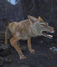 Âkhtal the Despoiler