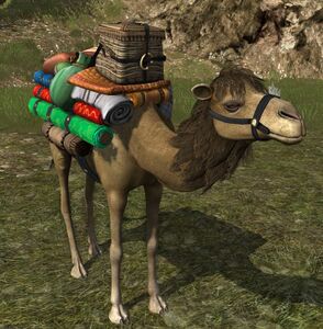 Caravan Trade Goods Camel