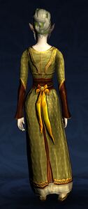 Summer Dress (Long-sleeved)