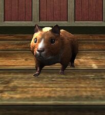 Sienna Hamster
