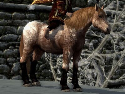 Shaggy Roan Coat: Blood Bay