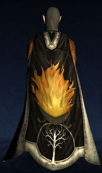 Cloak of Gondor's Aid