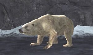 Snowbear Matron.jpg