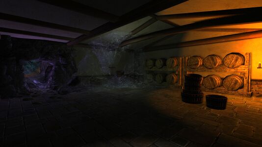 The actual cellar in Sprigley's Cellar