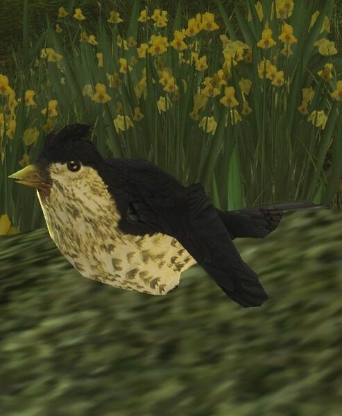 File:Thrush (Gladden Fields).jpg