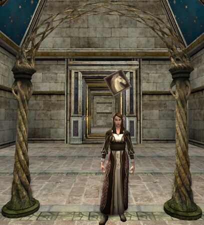 Elven Female Stable-master