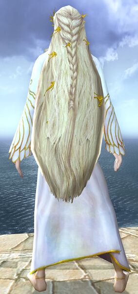 File:Costume of Galadriel (back).jpg