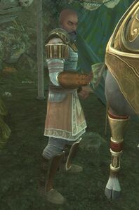 Image of Beorning Trader